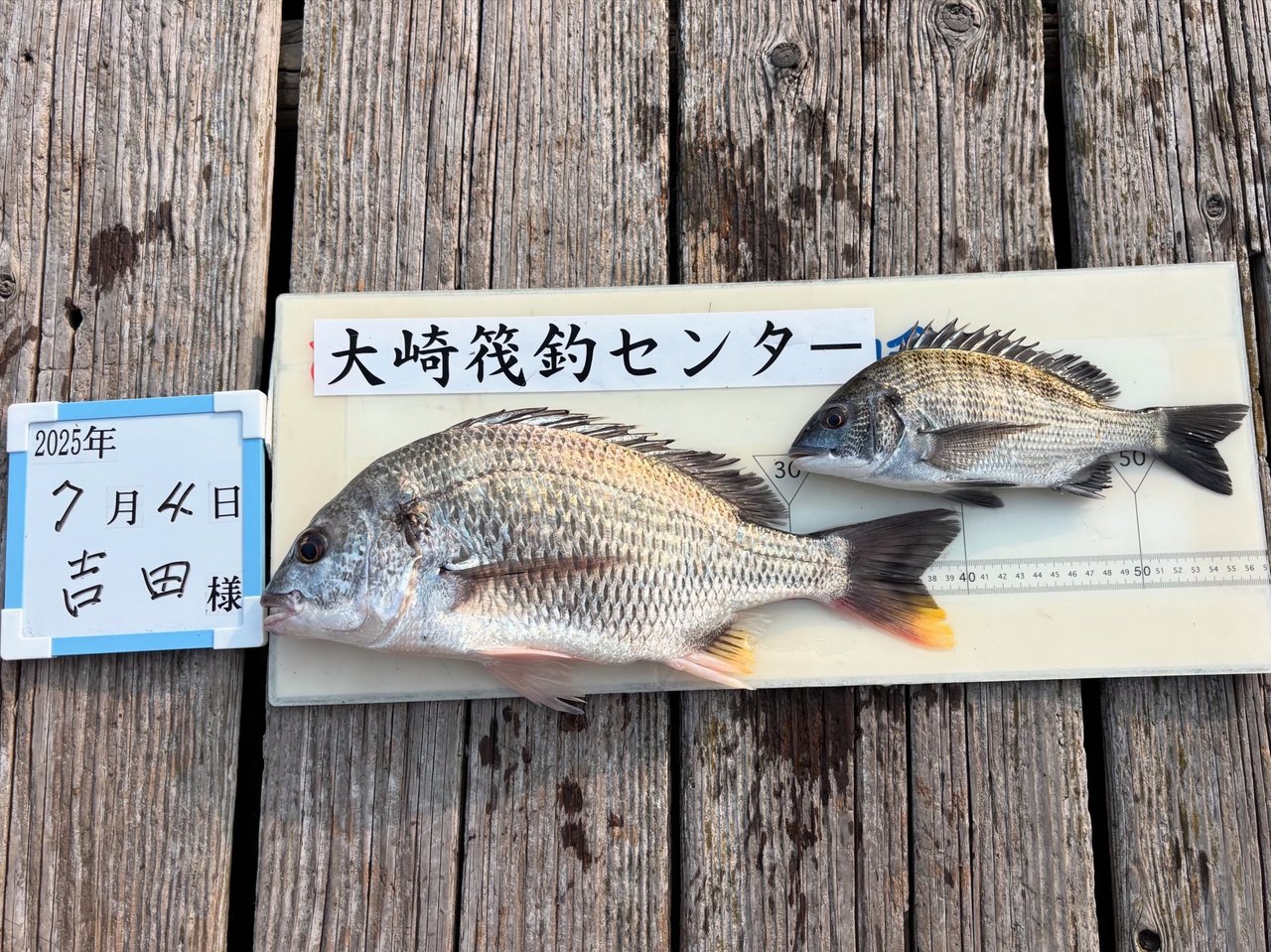 ȵॻ󥿡