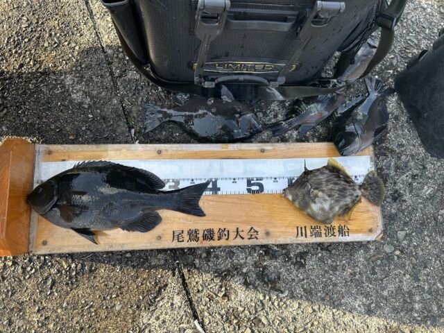 ��ü����