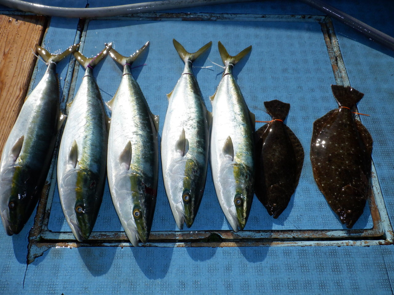 �Ӥޤ��Ĥ���