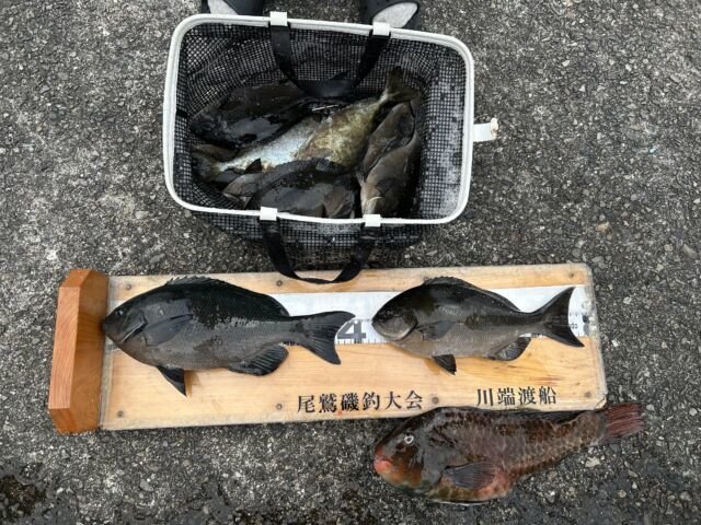 ��ü����