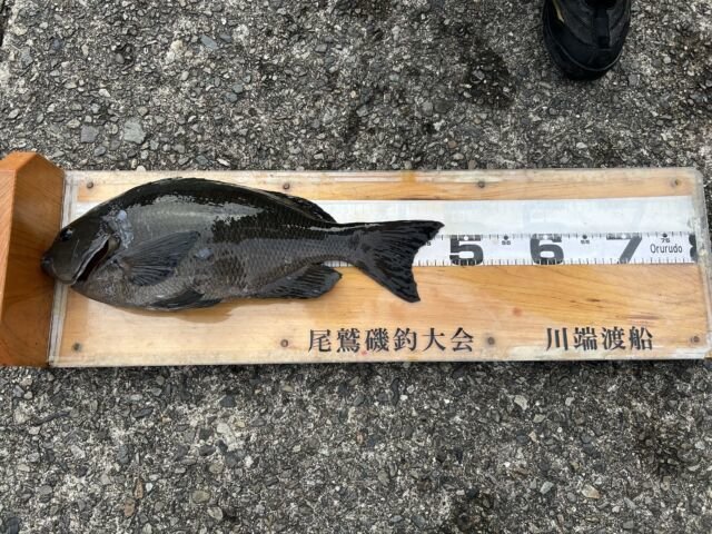 ��ü����