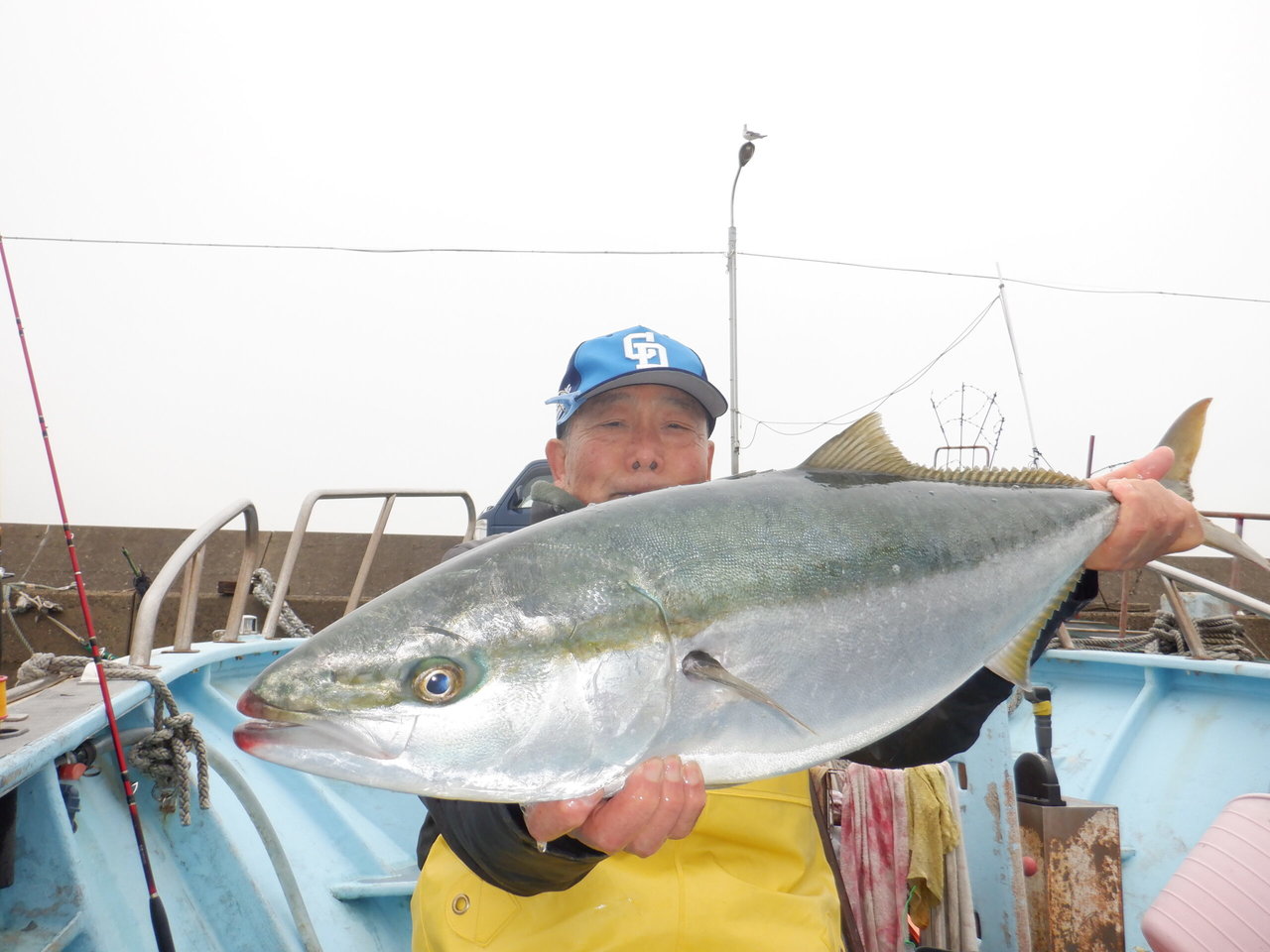 �Ӥޤ��Ĥ���