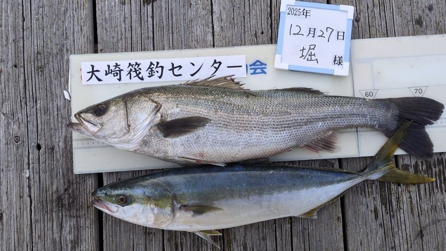 ���ȵ�ॻ�󥿡�