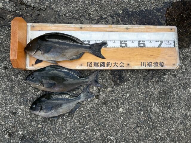 ��ü����