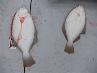 �Ȥ���������