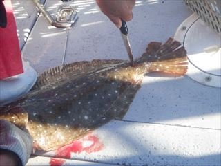 �Ȥ���������