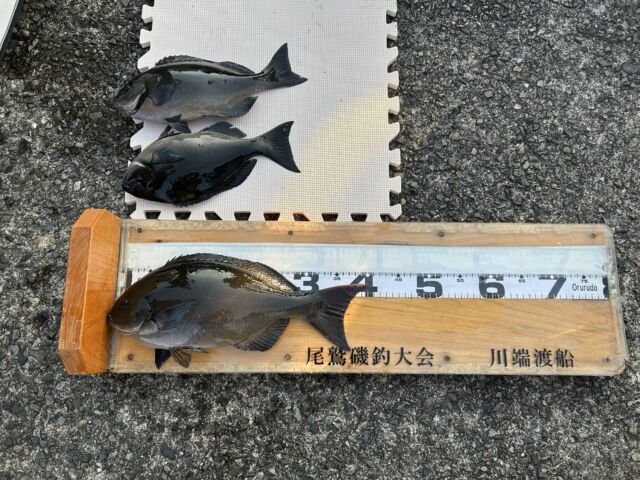 ��ü����