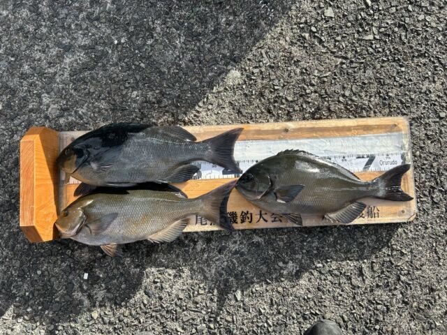 ��ü����