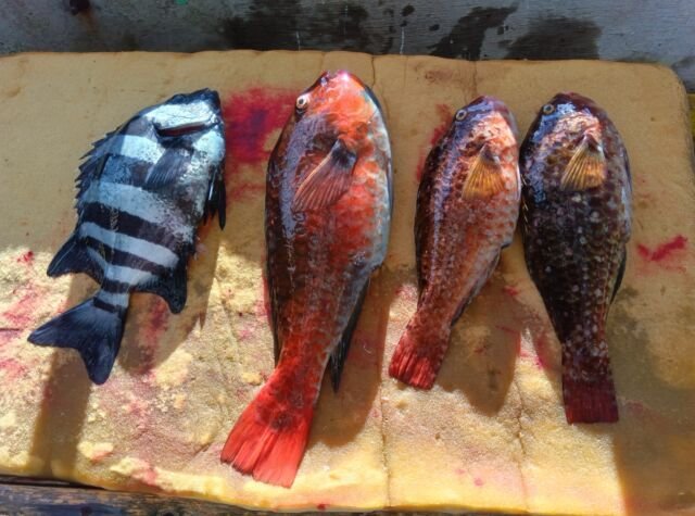 ��������