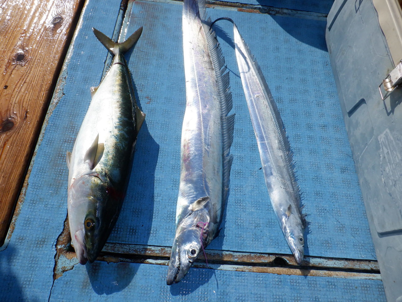 �Ӥޤ��Ĥ���