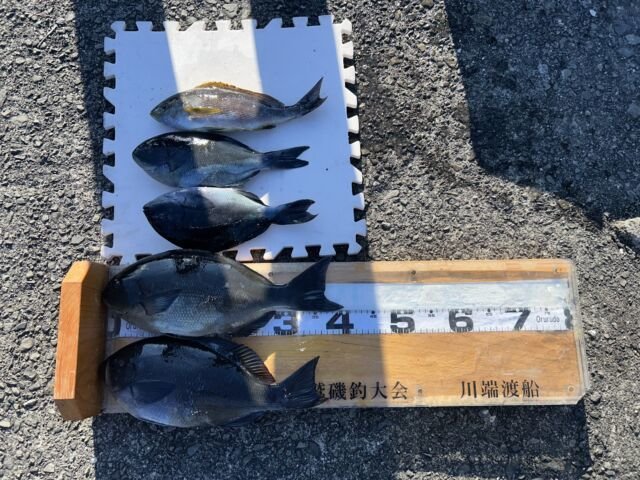 ��ü����