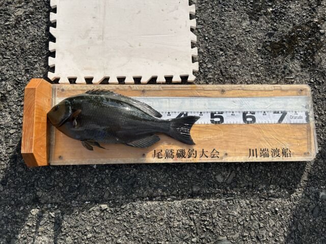 ��ü����