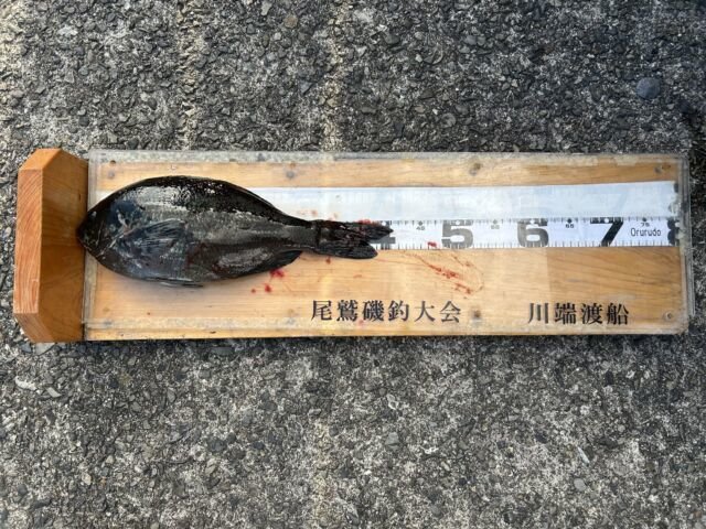 ��ü����