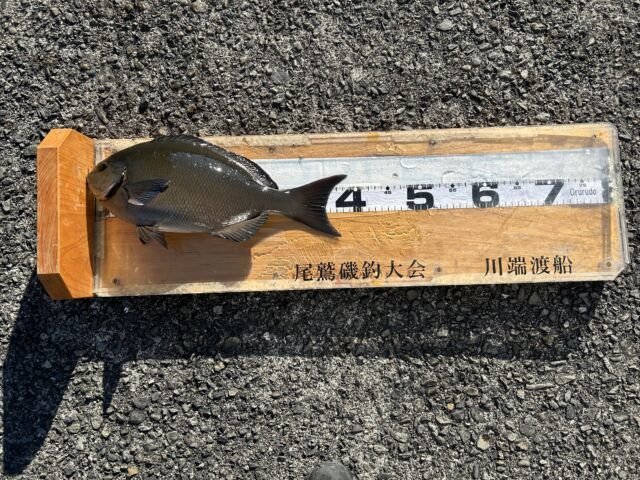 ��ü����