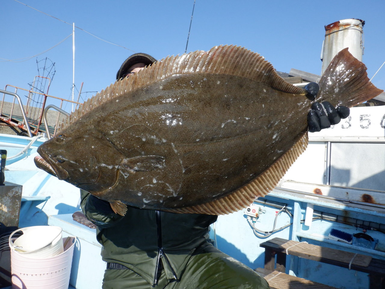 �Ӥޤ��Ĥ���