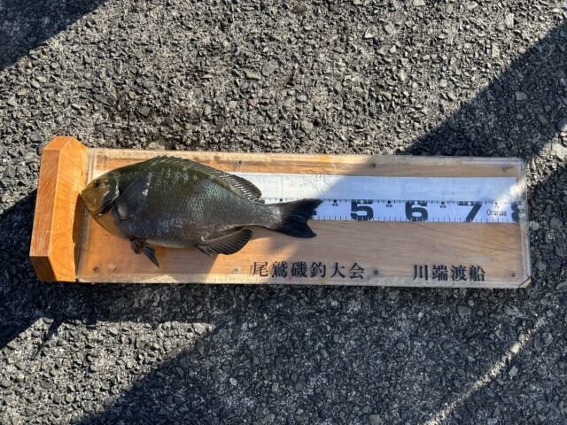 ��ü����