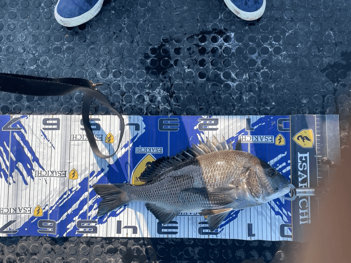 ���å�����