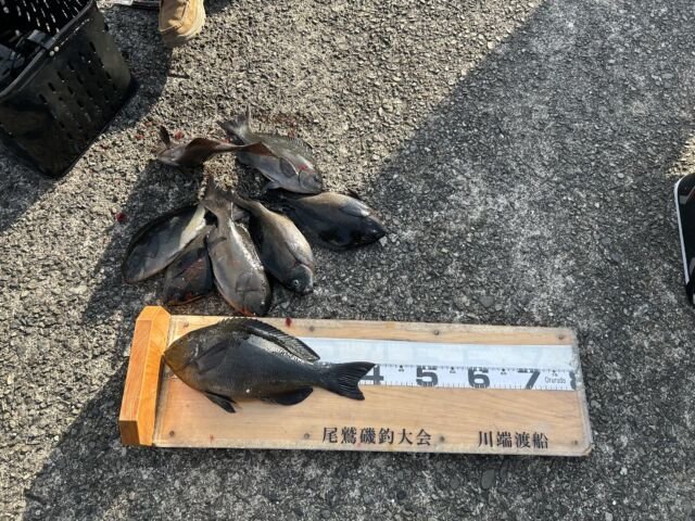 ��ü����