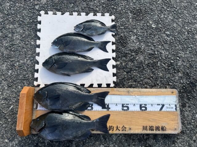 ��ü����