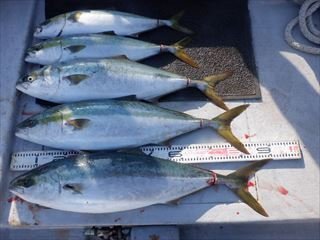 �Ȥ���������