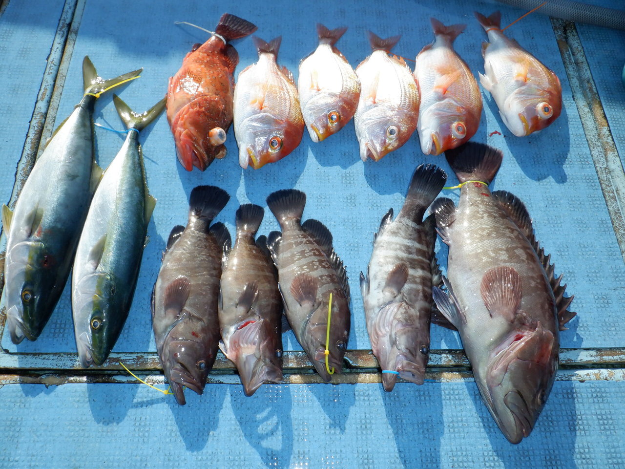 �Ӥޤ��Ĥ���