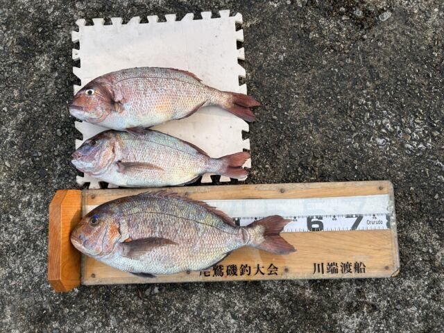 ��ü����