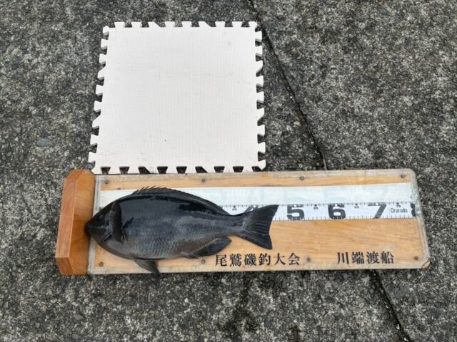 ��ü����