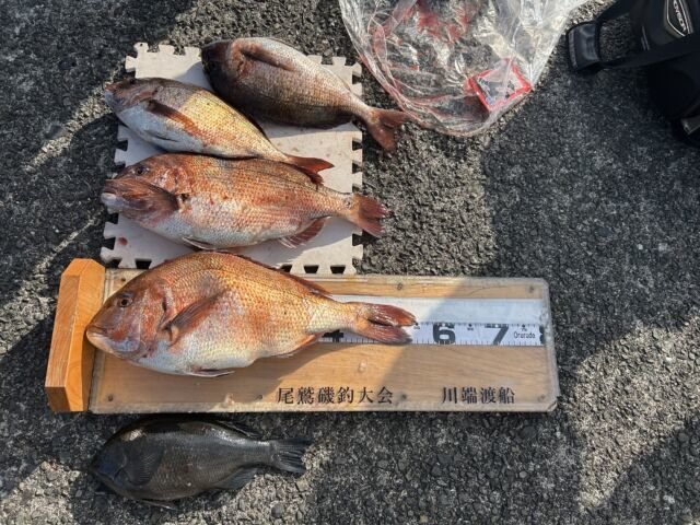 ��ü����