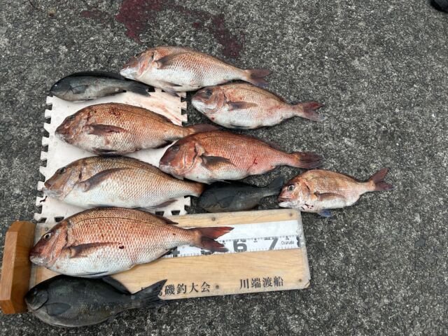 ��ü����