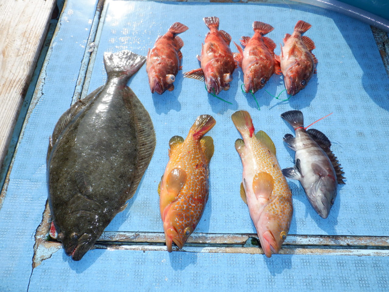 �Ӥޤ��Ĥ���