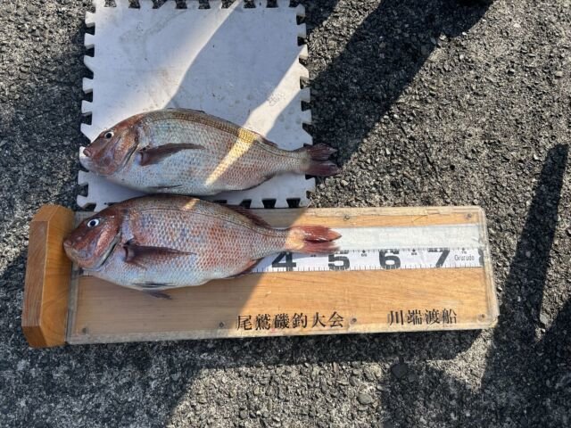 ��ü����