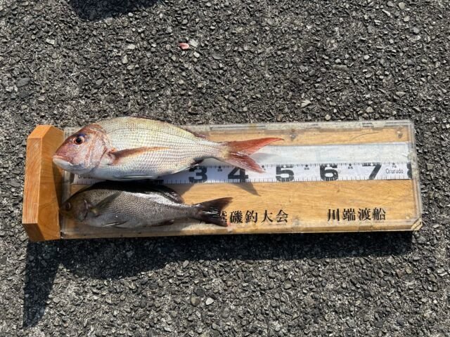 ��ü����