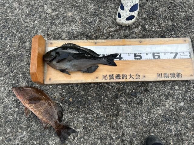 ��ü����