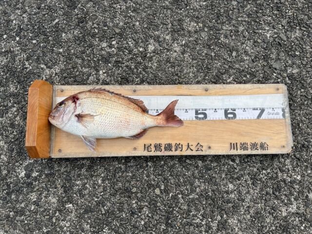 ��ü����