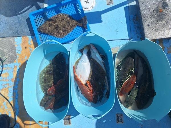 �Ĥ�������