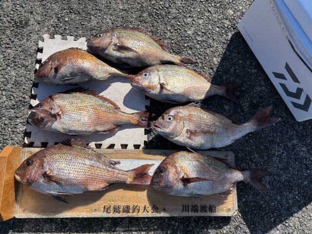 ��ü����