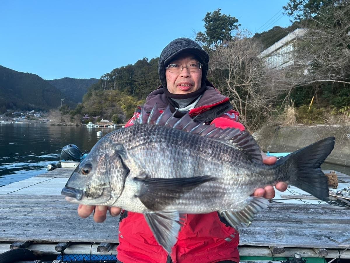 ���å�����