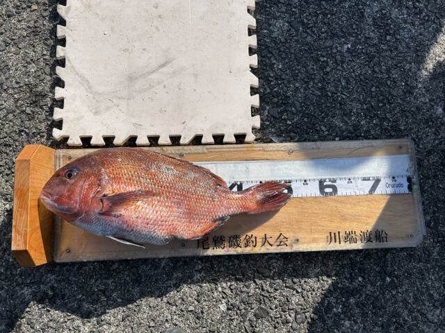 ��ü����