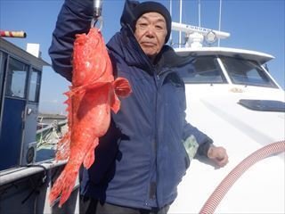 �Ȥ���������