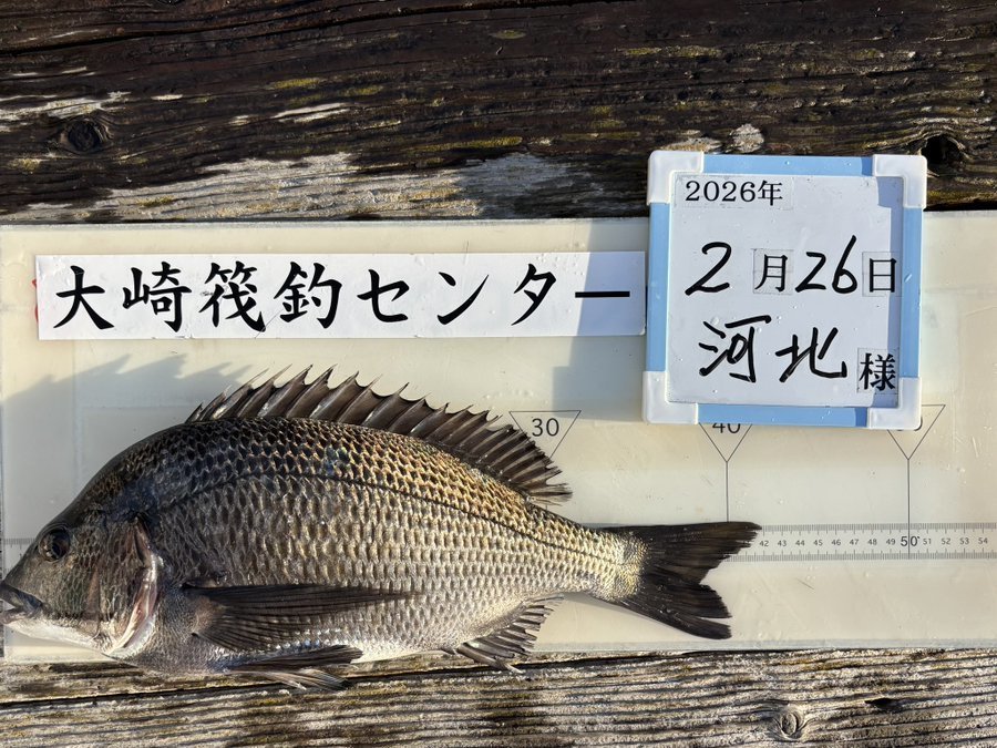 ���ȵ�ॻ�󥿡�