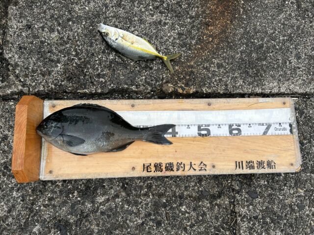 ��ü����