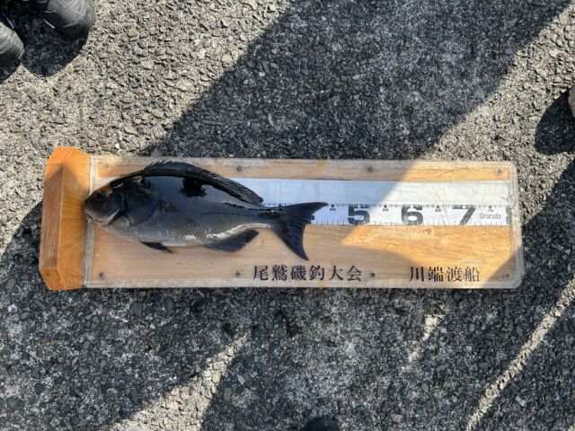 ��ü����