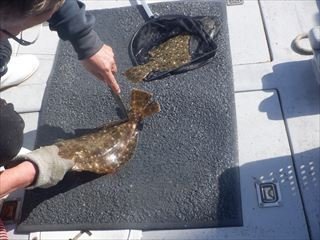 �Ȥ���������