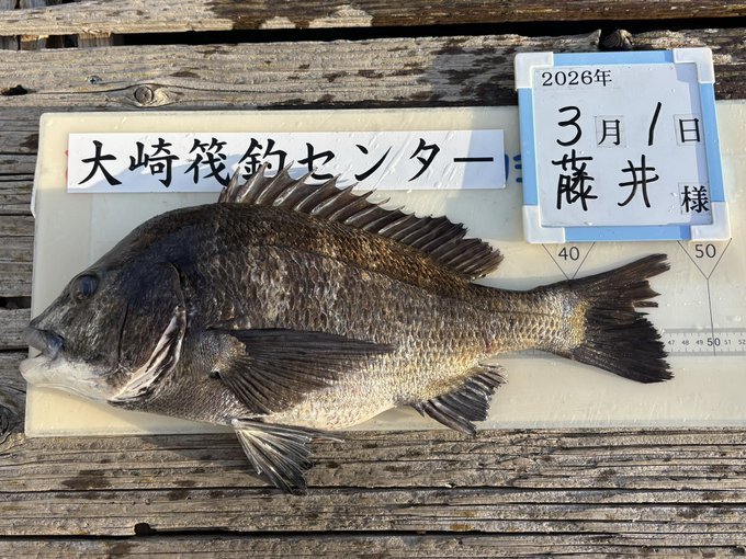 ���ȵ�ॻ�󥿡�