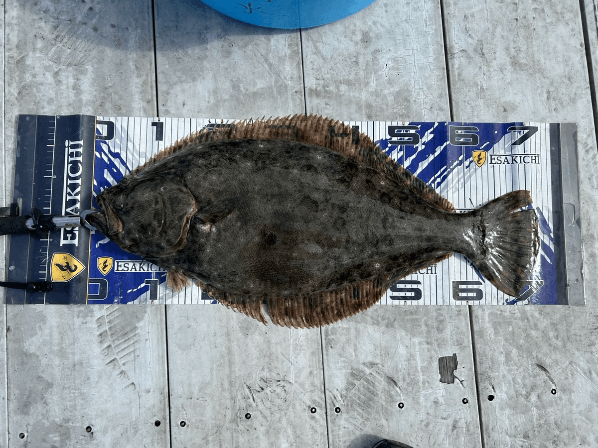 ���å�����