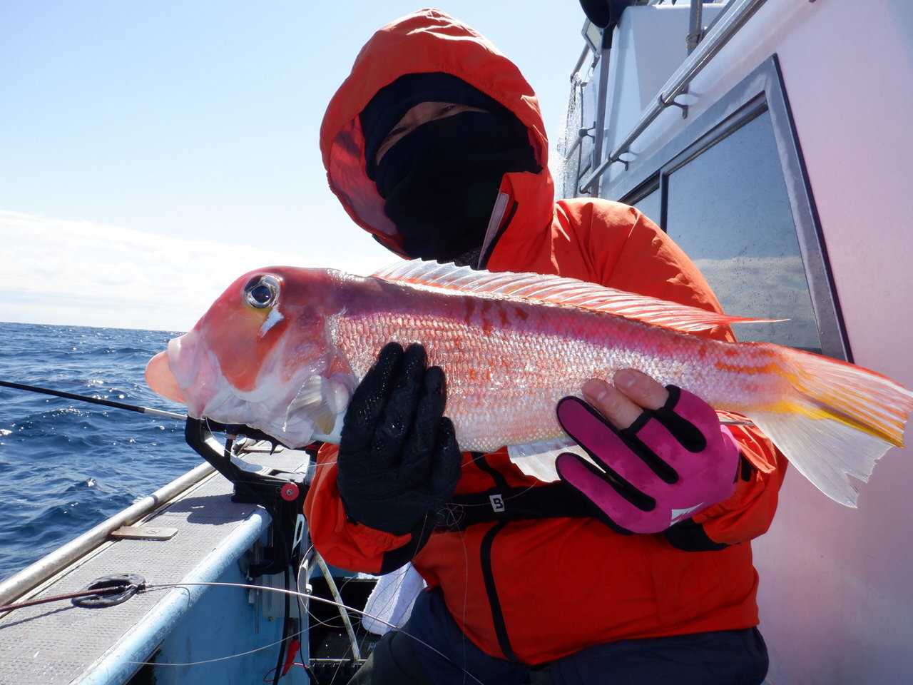 �Ӥޤ��Ĥ���