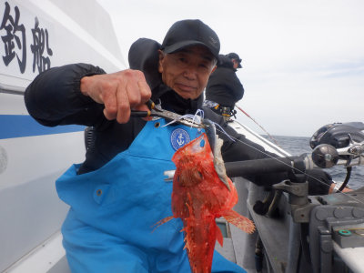 �Ȥ���������