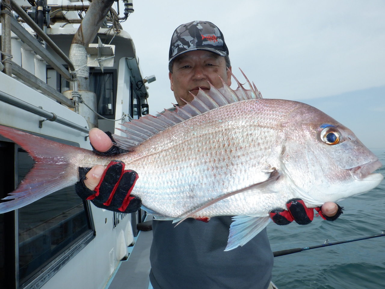 �Ӥޤ��Ĥ���