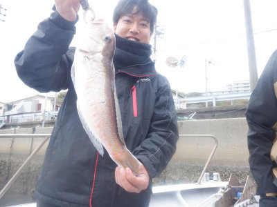 �Ȥ���������