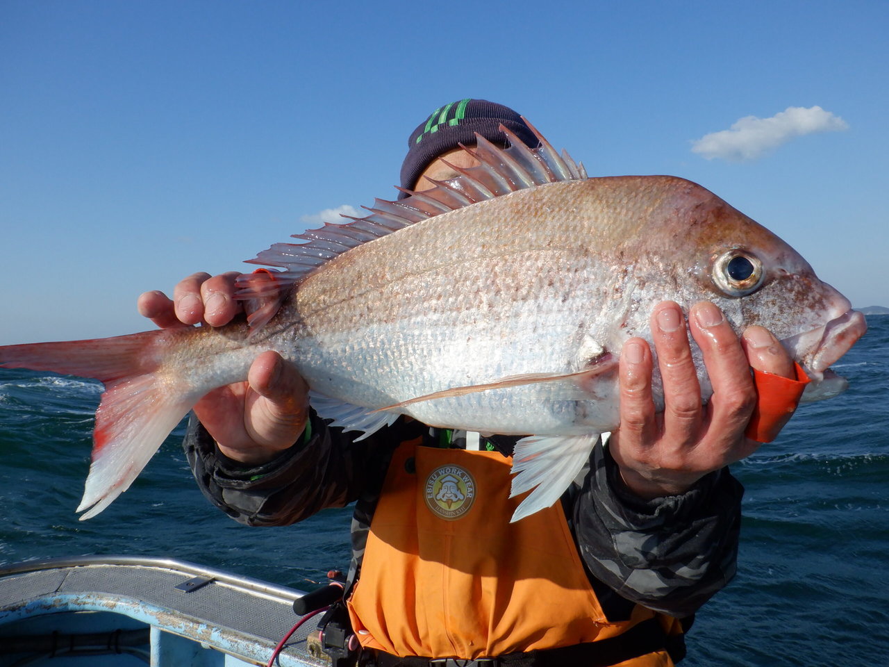 �Ӥޤ��Ĥ���